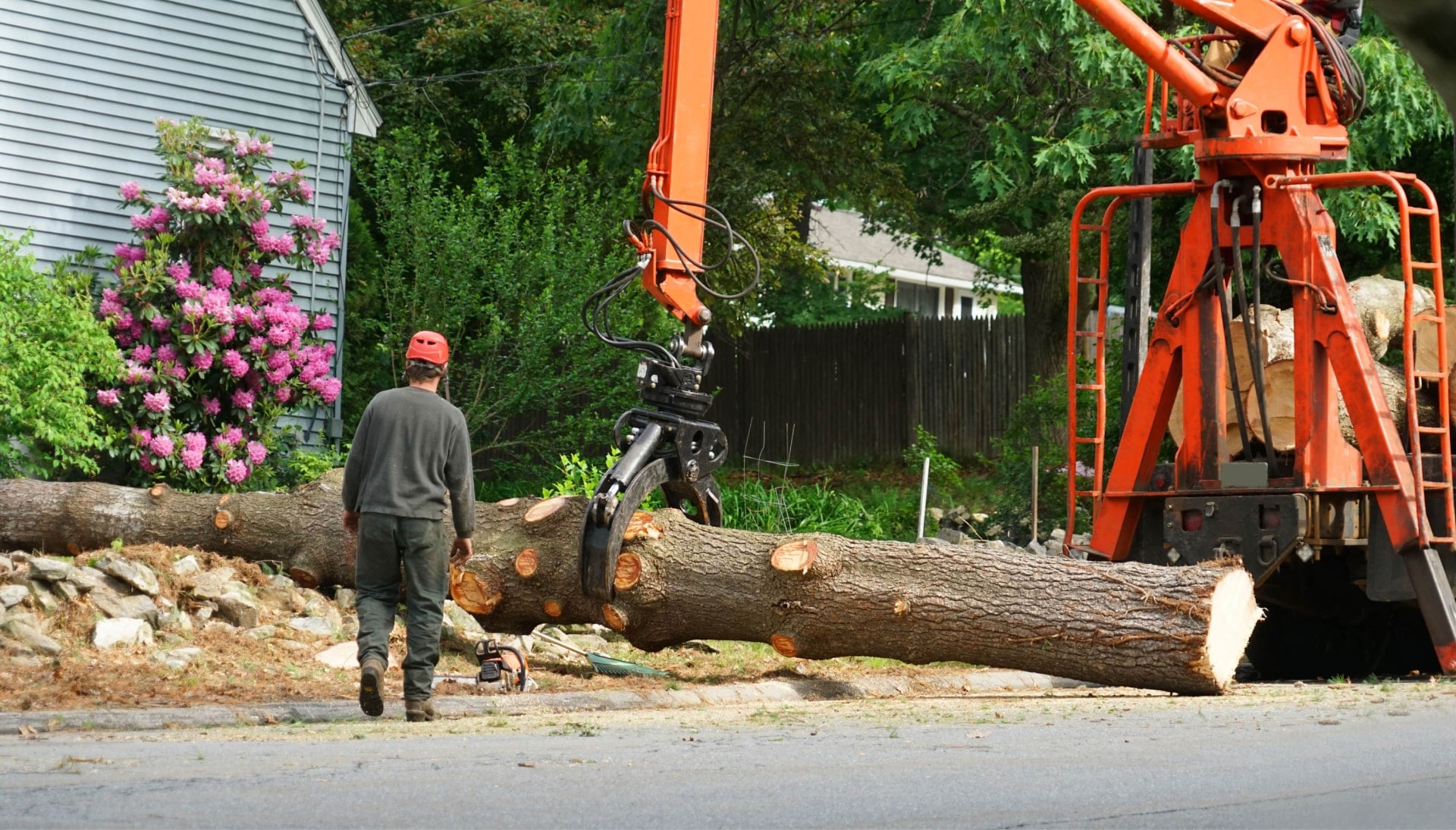 Local partner for Tree removal services in Nampa