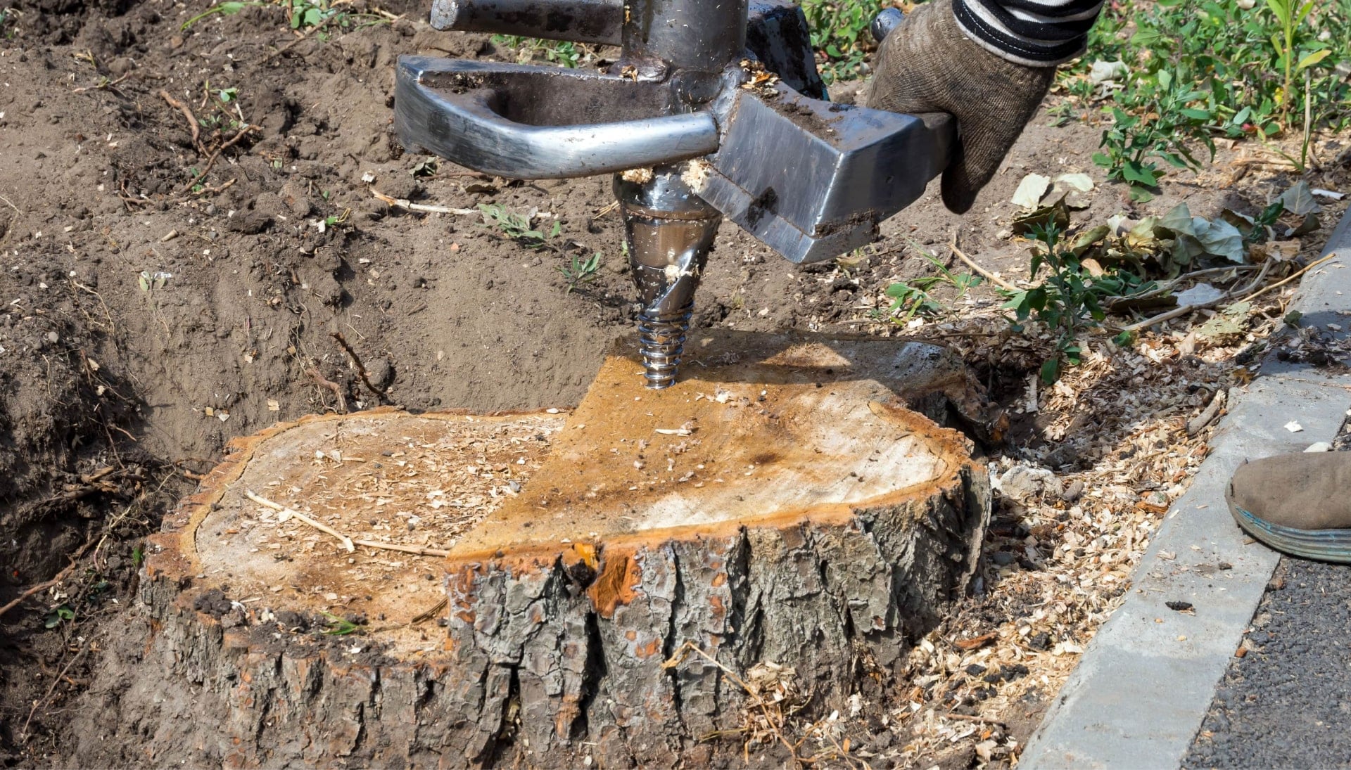 Nampa Tree stump removal